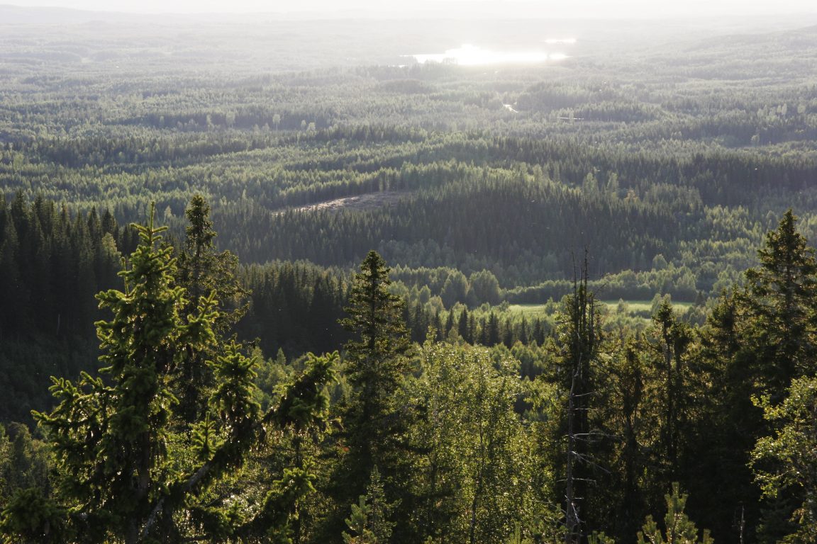 Maisema Kolin huipulta