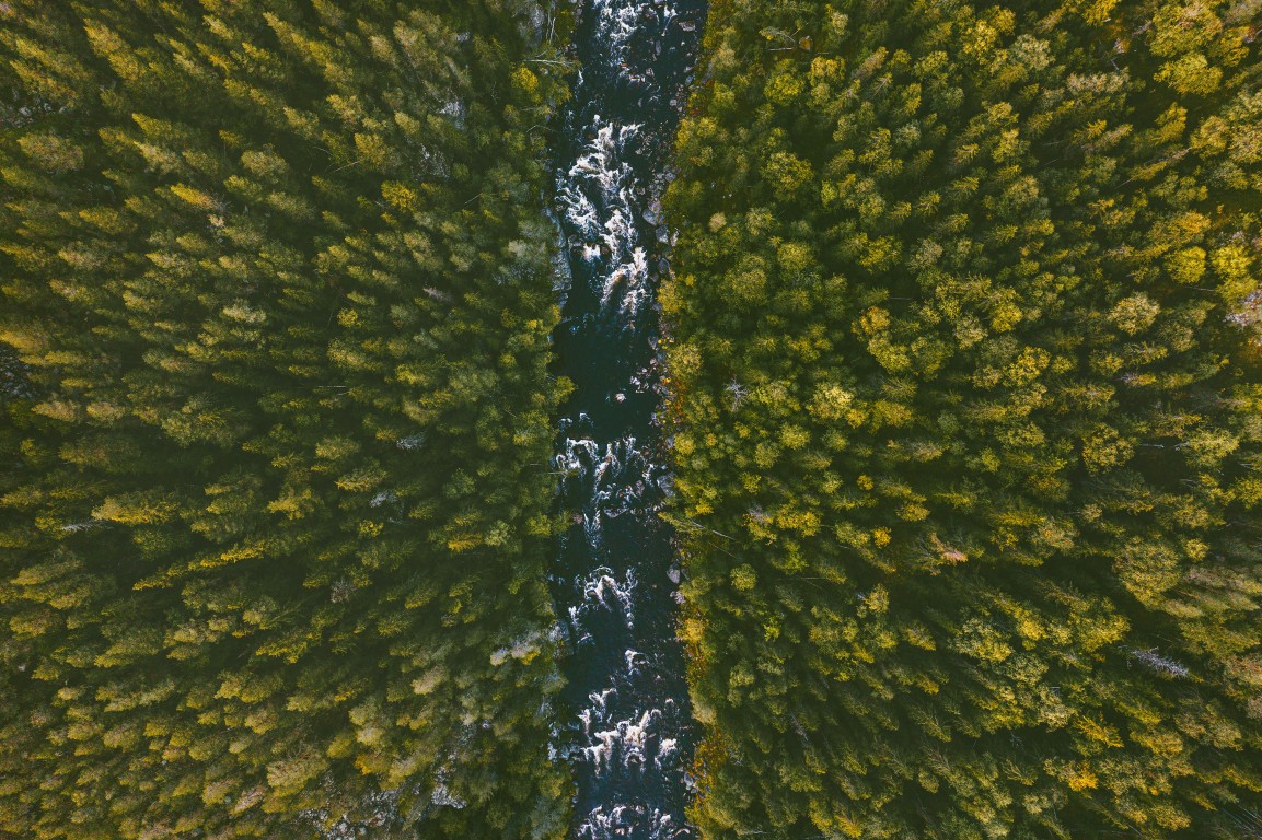 Joki keskellä metsämaisemaa