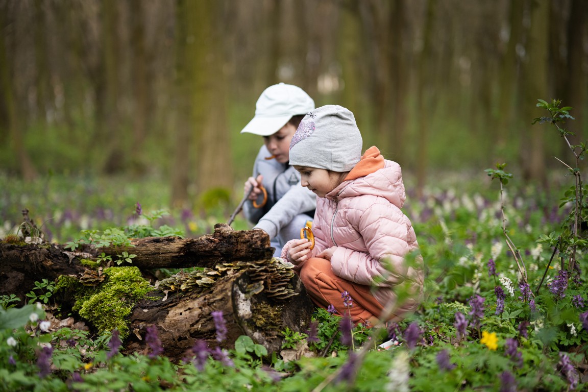 Lapsia metsässä leikkimässä
